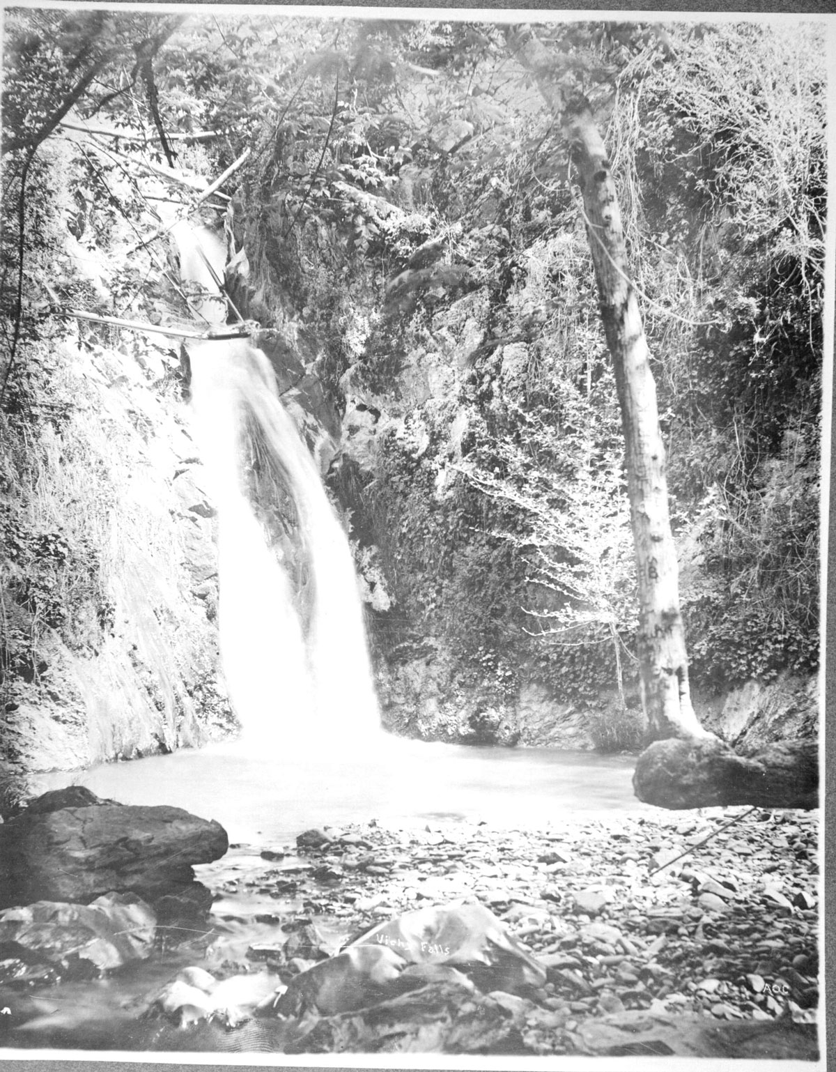 Chemisal-Falls-at-Vichy-1880 and Vichy Springs Resort | Ukiah, CA